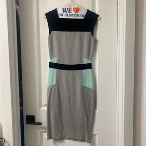 Venus Dress; Size 0